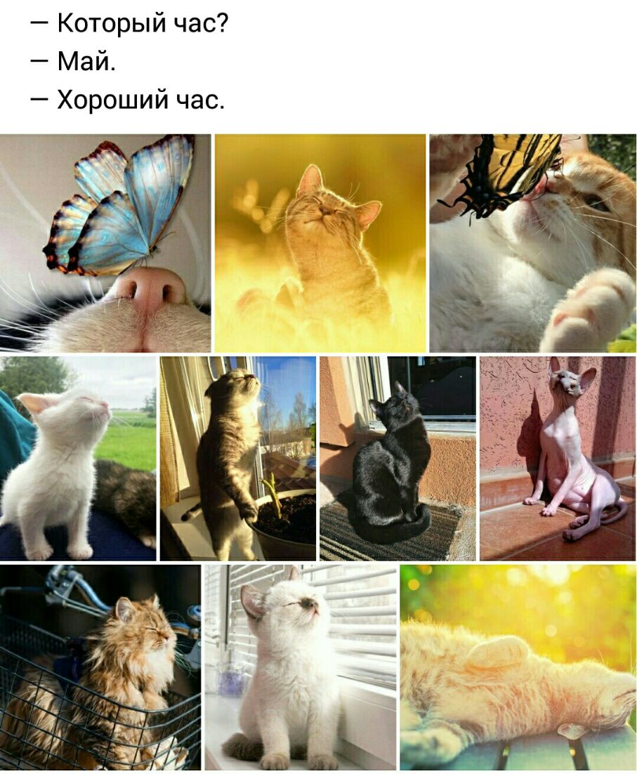 Который час Май Хороший час