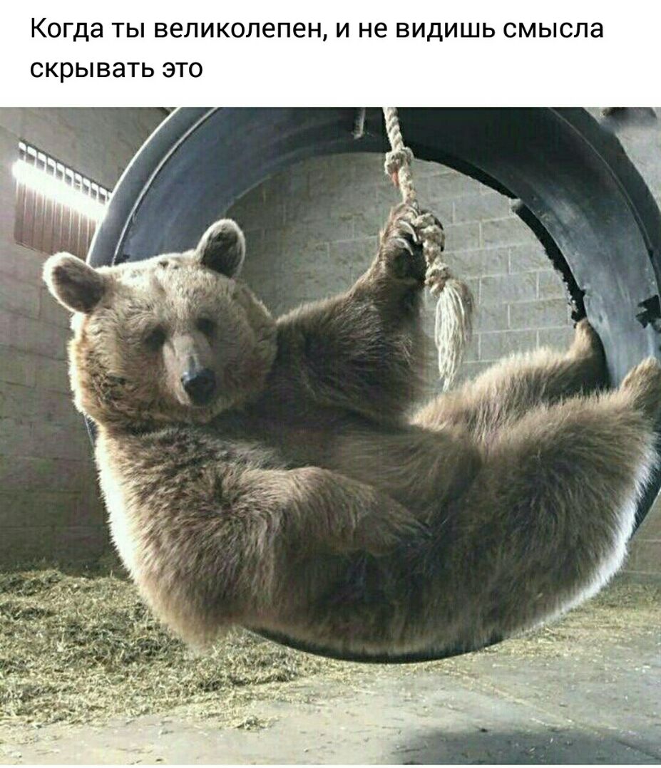 Когда ты великолепен и не видишь смысла скрывать это