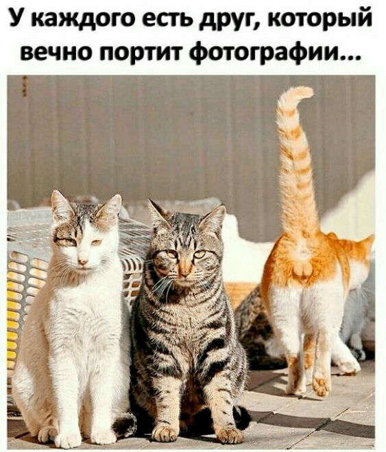У каждого есть друг который вечно портит фотографии