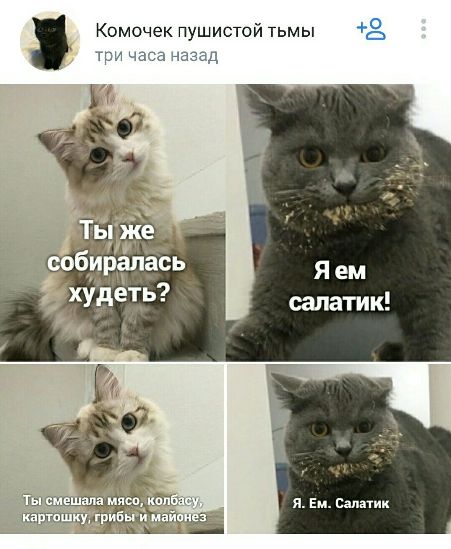Комочек пушистой тьмы 8 три часа назад Я Ем Сапатик