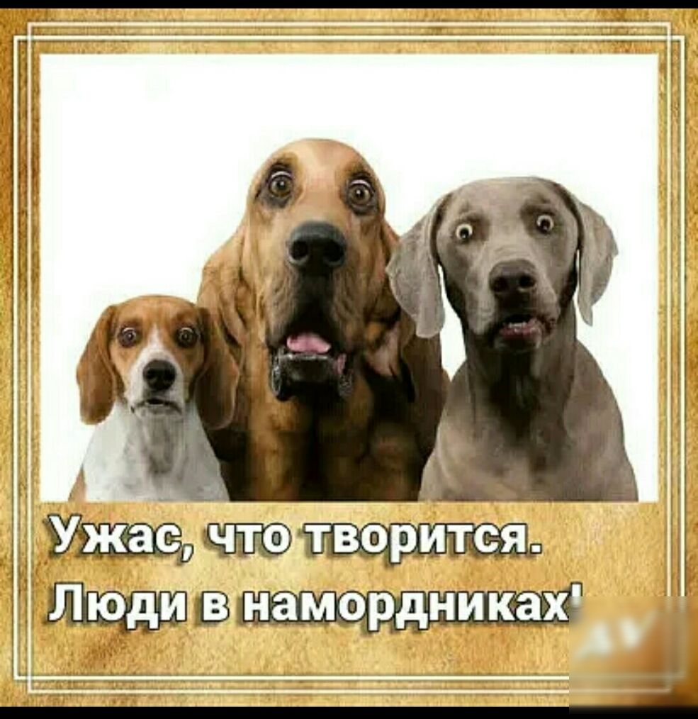 4 т 1 за творится 13