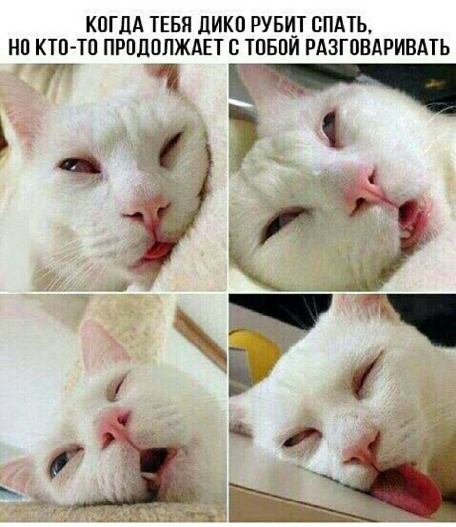КОГДА ТЕБЯ ДИКО РУБИТ СПАТЬ НО КТО ТО ПРОДОЛЖАЕТ О ТОБОЙ РАЗГОВАРИВАТЬ 7