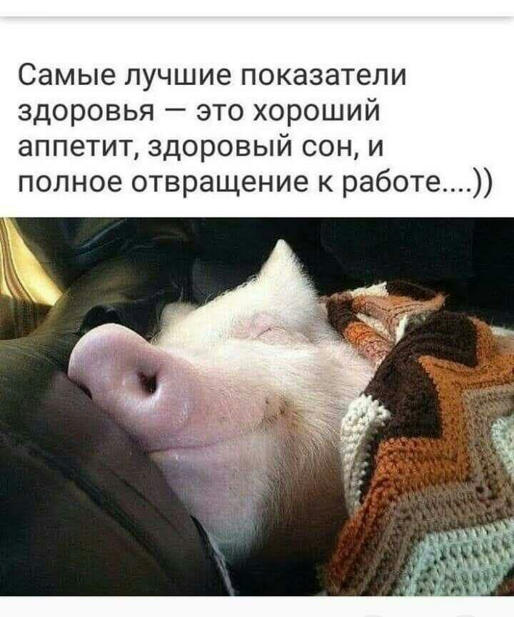 Самые лучшие показатели здоровья это хороший аппетит здоровый сон и полное отвращение к работе