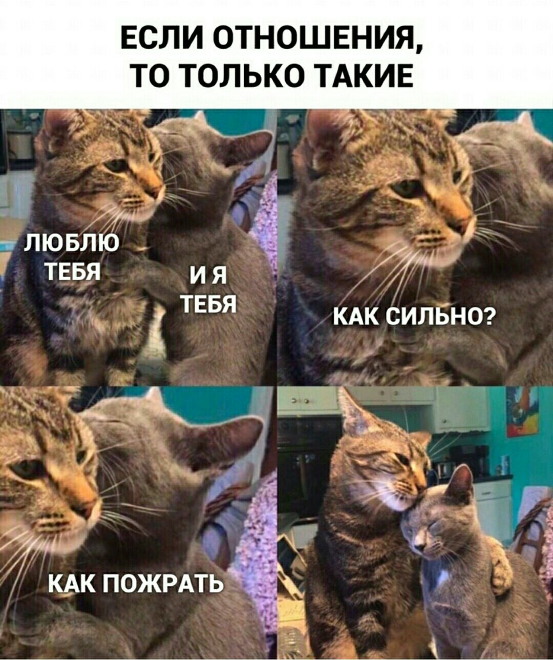 ЕСЛИ ОТНОШЕНИЯ ТО ТОЛЬКО ТАКИЕ д _в_