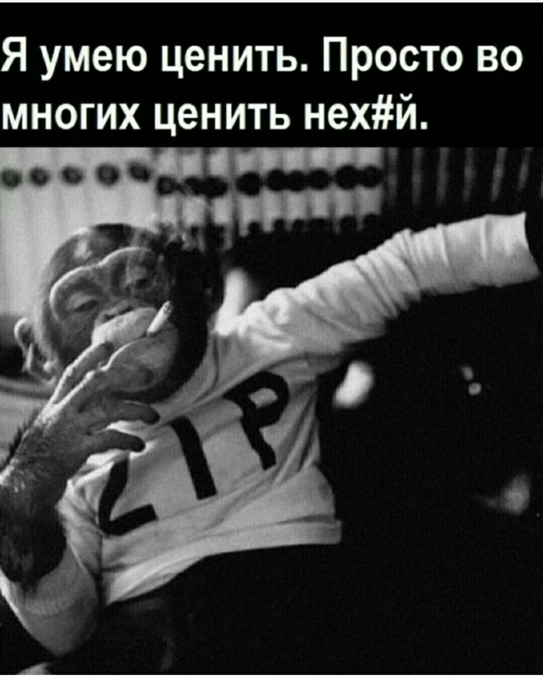 Я умею ценить Просто во многих ценить нехй
