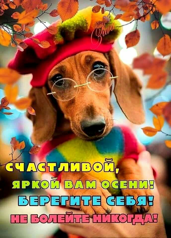 В Ш Болвицфщъъгдё