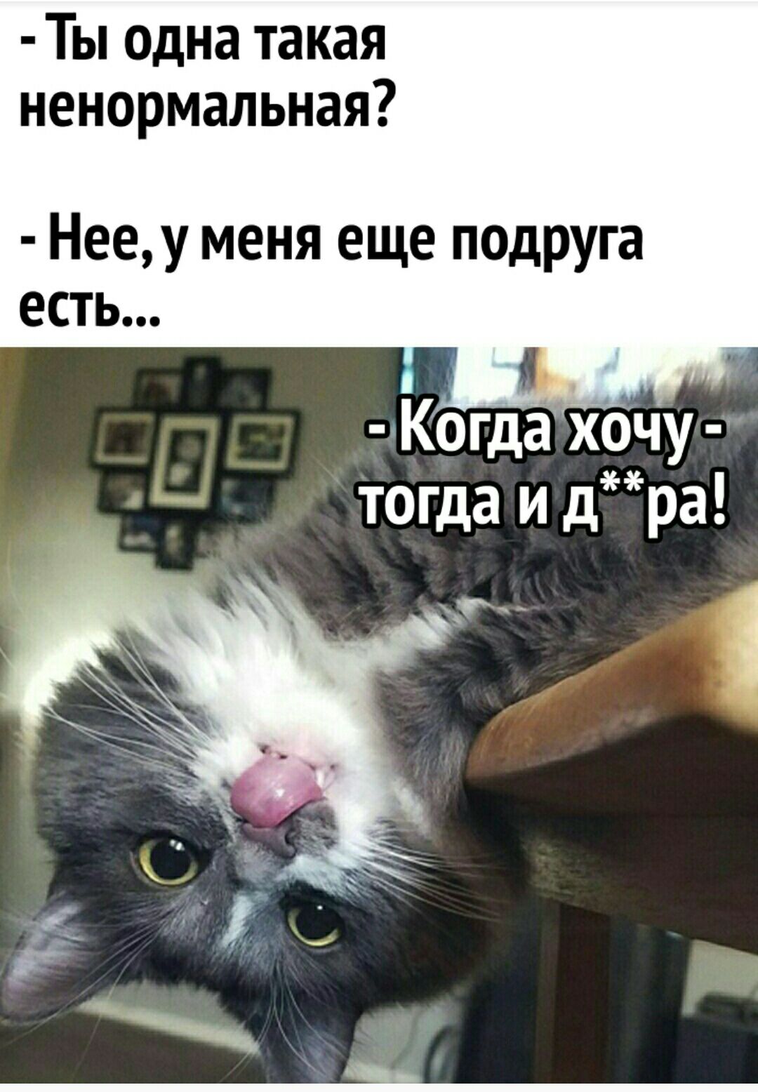 Ты одна такая ненормальная Нееу меня еще ПОДРУГа есть КОгдахочу тогда и дра