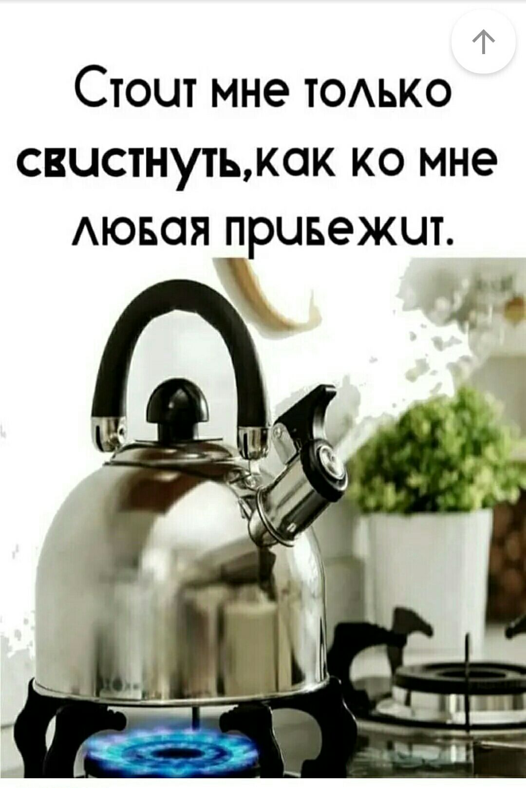 ТЖ Стоит мне ТОАЬКО свистнутьжак ко мне Аювая привежцт