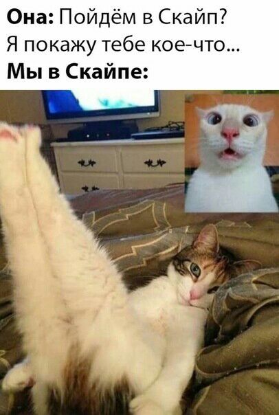 Она Пойдём в Скайп Я покажу тебе коечто Мы в Скайпе