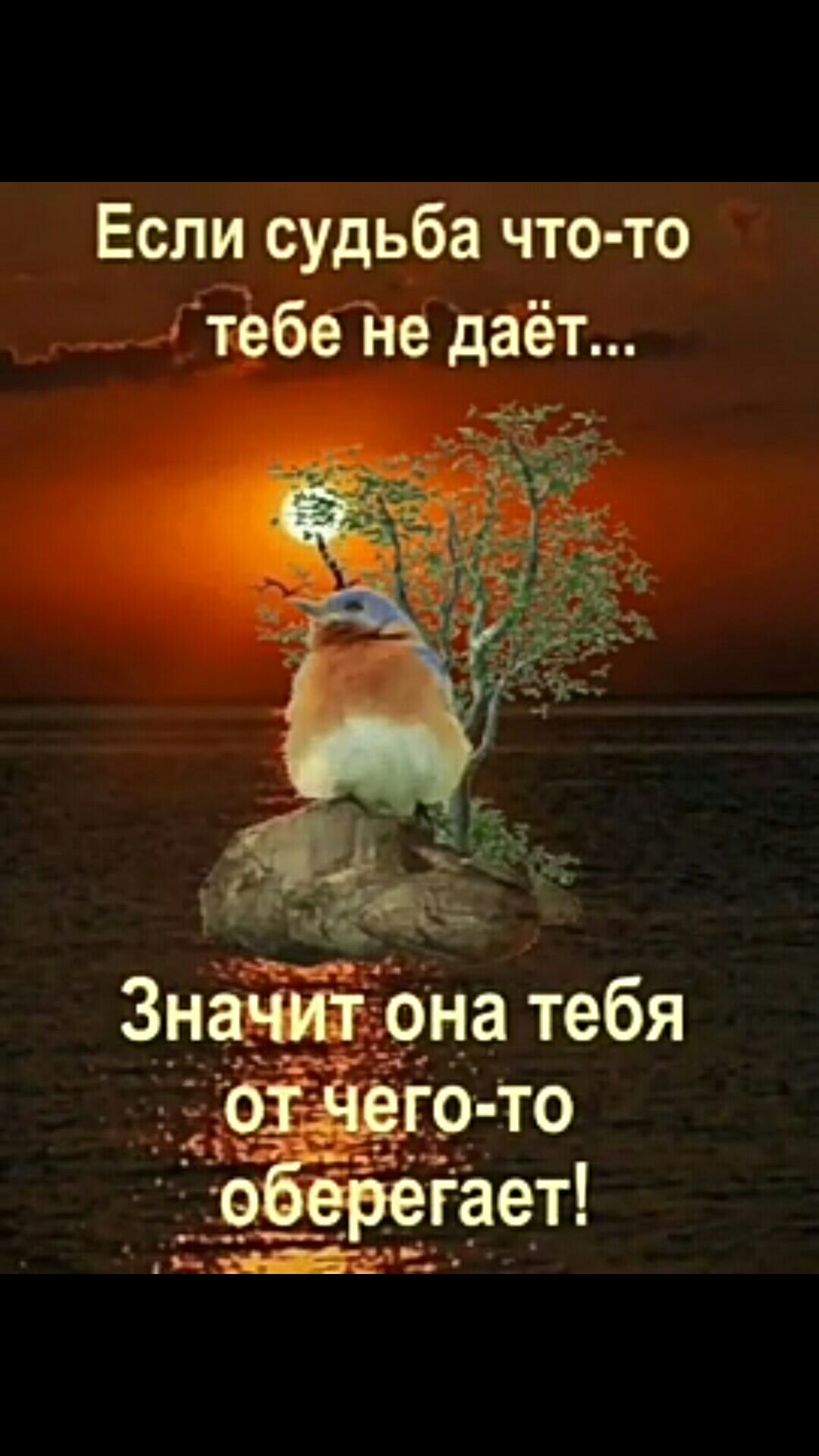 Если УдЬба что то тебе не даёт _ _____і _9На тебя Тбшю то тёдёбёііает от Зн