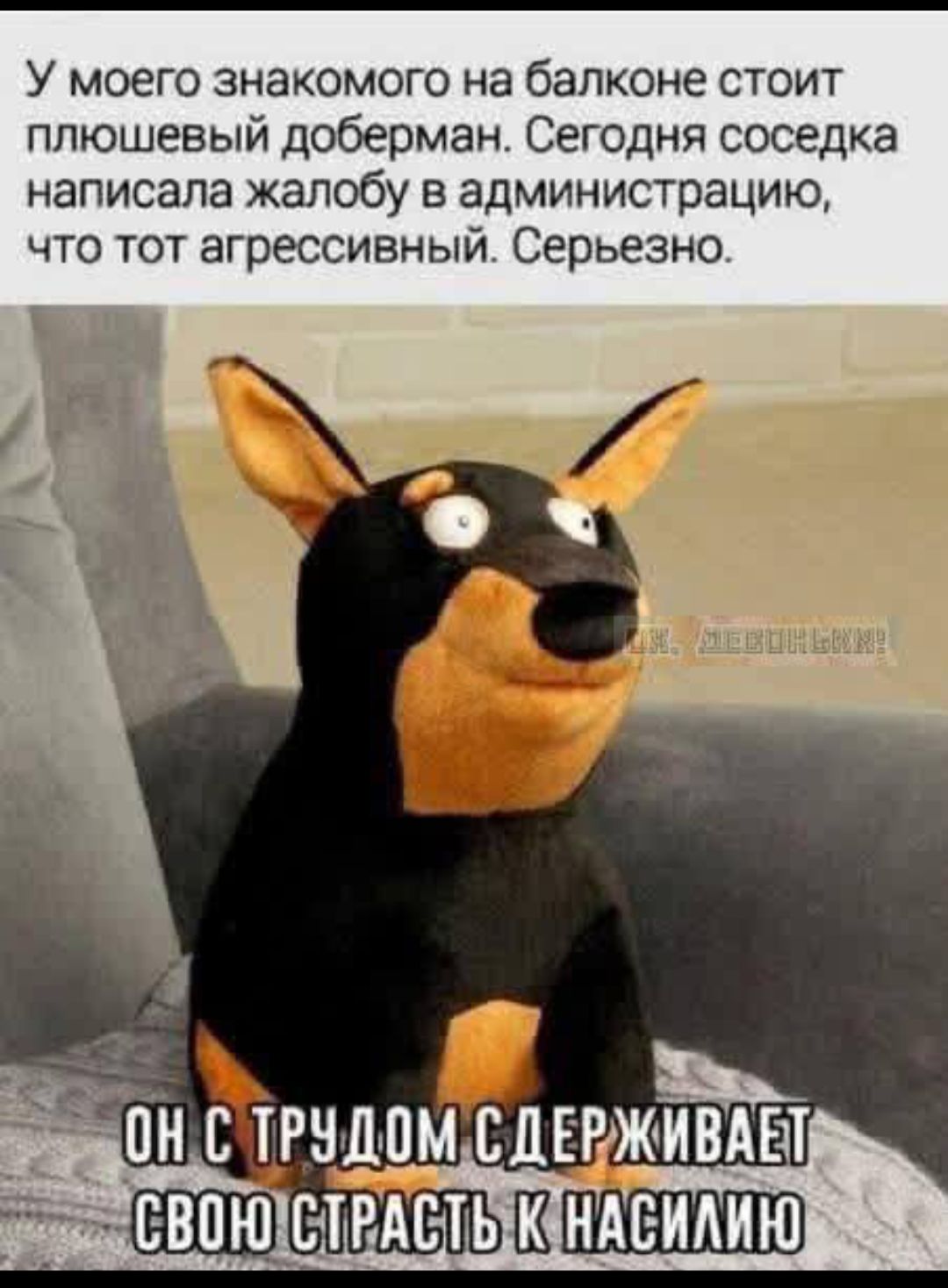 У моего знакомого на балконе стоит плюшевый доберман. Сегодня соседка написала жалобу в администрацию, что тот агрессивный. Серьёзно. Он с трудом держит свою страсть к насилию