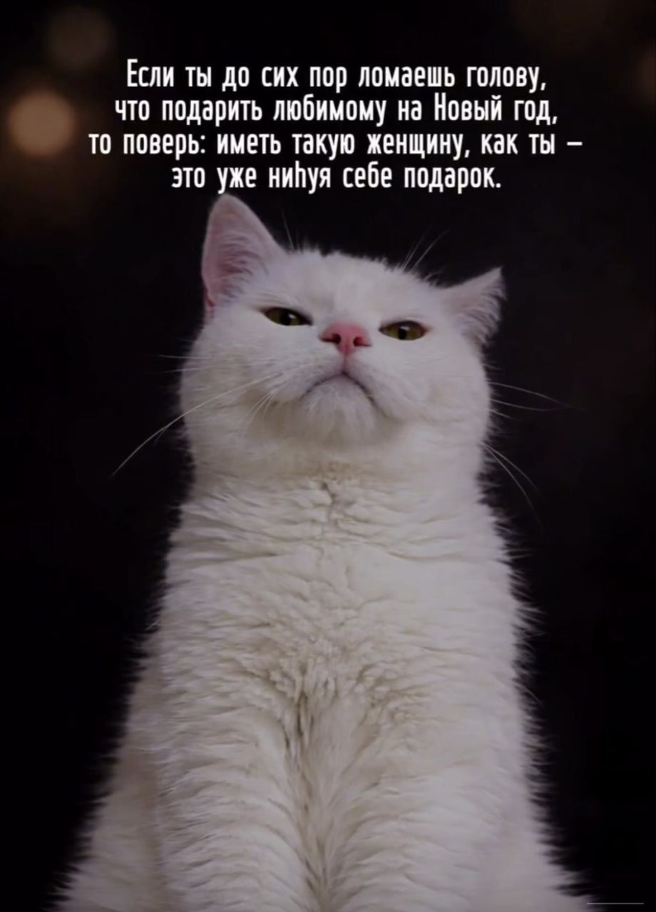 Если ты до сих пор ломaешь голову, что подарить любимому на Новый год, то поверь: иметь такую женщину, как ты – это уже ниня себе подарок.