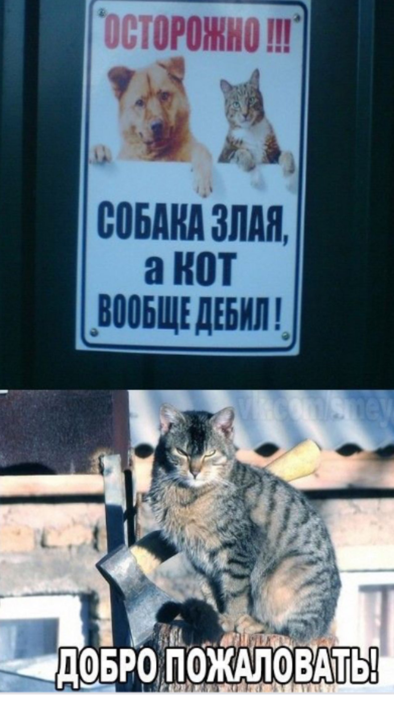 1 т ЦФБРОПФЖАЛФВ _ и А