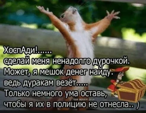 ведь дуракам везёт Только немного ум чтобы я их в попиц не отнесла