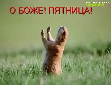 О БОЖЕ ПЯТНИЦА