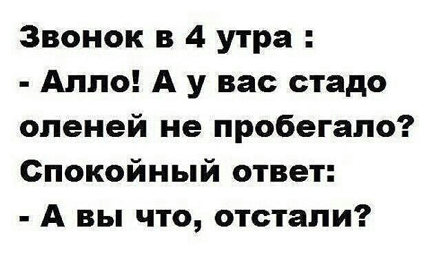 Звонок в 4 утра Алло А у вас стадо оленей не пробегало Спокойный ответ А вы что отстали
