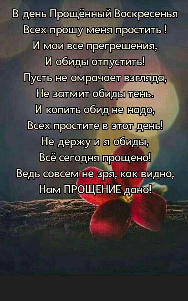 В день Прощённый Воскресенья Всех прошуім енятпростить И мои прегрешения И обиды от устить Пусть не омрачаетщ Н __дзатмит обиды И копить обид не итп Не держу и Е обиды Всё сегодня прощено Ве ьсовсем нез якшвви но д р д Нам прощвнивднбйй Всех проститёв
