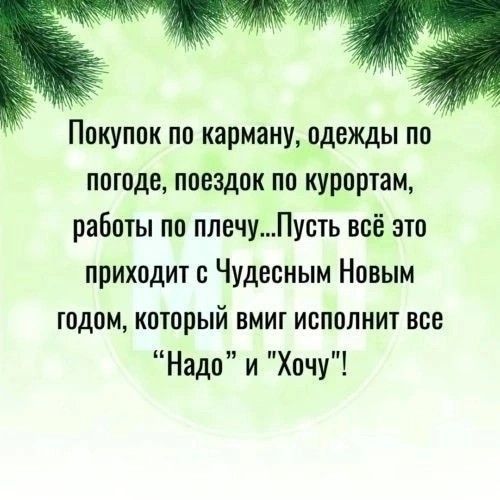 Покупок по карману одежды по погоде поездок по курортам работы по плечуПусть всё это приходит с Чудесным Новым годом который вмиг исполнит все Надо и Хочу