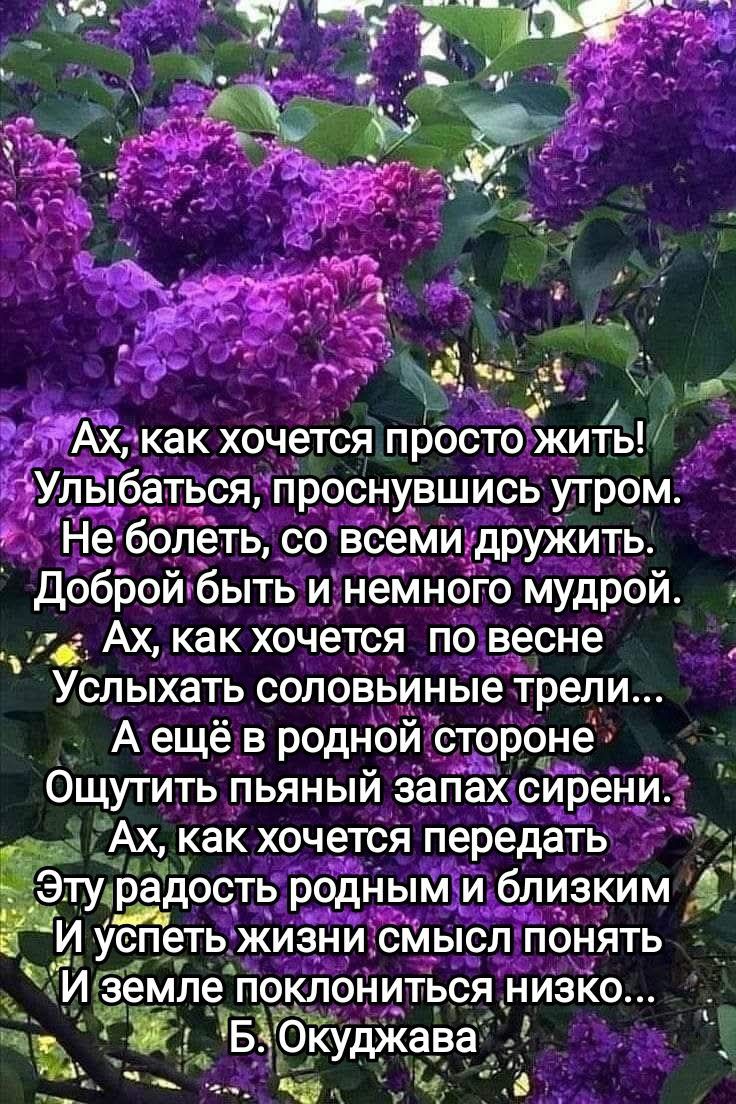 Ах, как хочется просто жить! Улыбаться, проснувшись утром. Не болеть, со всеми дружить. Доброй быть и немного мудрой. Ах, как хочется по весне Улышать соловьиные трели... А ещё в родной стороне Ощутить пьяный запах сирени. Ах, как хочется передать Эту радость родным и близким И успеть жизни смысл понять И земле поклониться низко... Б. Окуджава