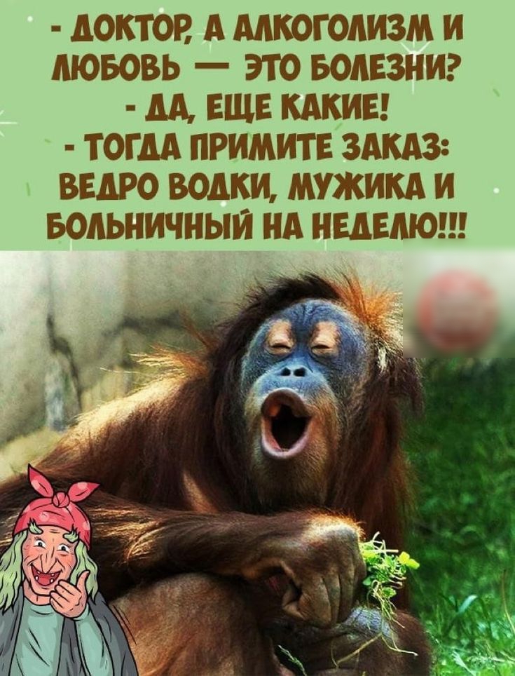 - ДОКТОР, А АЛКОГОЛИЗМ И ЛЮБОВЬ — ЭТО БОЛЕЗНИ?
- ДА, ЕЩЕ КАКИЕ!
- ТОГДА ПРИМИТЕ ЗАКАЗ: ВЕДРО ВОДКИ, МУЖИКА И БОЛЬНИЧНЫЙ НА НЕДЕЛЮ!!!
