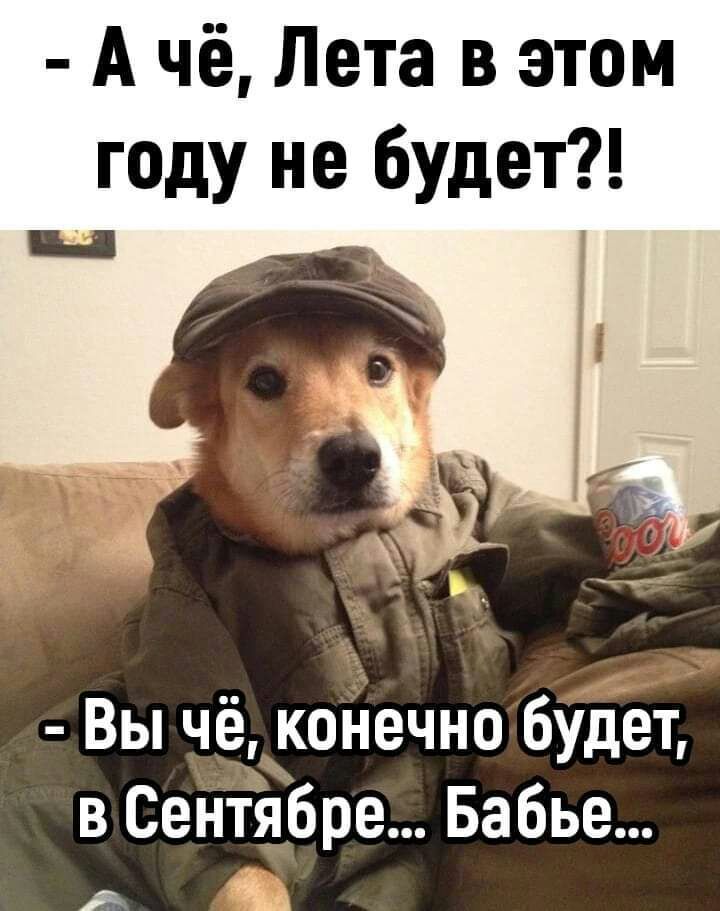 - А чё, Лета в этом году не будет?!
- Вы чё, конечно будет, в сентября... Бабье...
