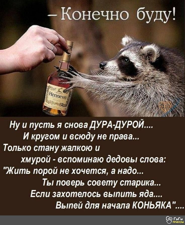 – Конечно буду!

Ну и пусть я снова ДУРА-ДУРОЙ....
И кругом и всюду не права...
Только стану жалкою и
злым - вспоминаю дедовы слова:
