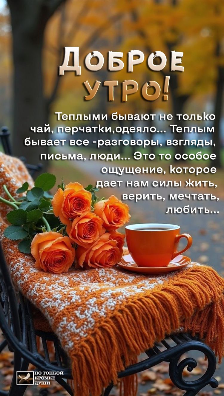 ДОБРОЕ УТРО!

Тёплыми бывают не только чай, перчатки, одежда... Тёплым бывает всё - разговоры, взгляды, письма, люди... Это то особое ощущение, которое даёт нам силы жить, верить, мечтать, любить...