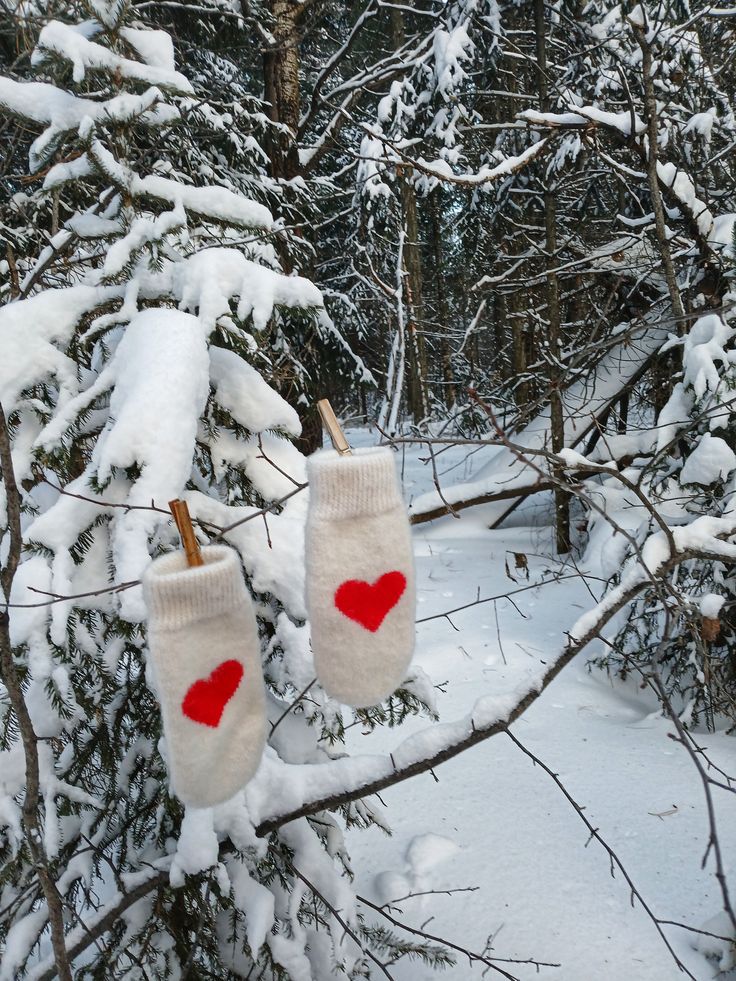 Зимний лес, две варежки с красными сердечками висят на ветке в снегу