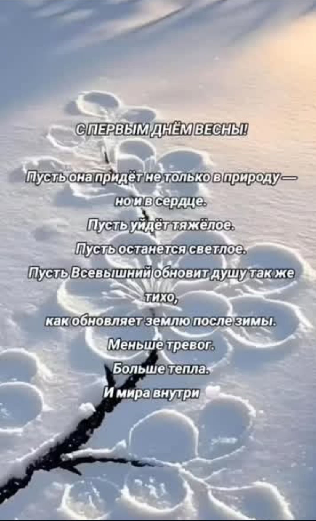 С ПЕРВЫМ ДНЁМ ВЕСНЫ! Пусть она придёт не только в природу — но и в сердце. Пусть уйдёт тяжело. Пусть останется светлое. Пусть Всевышний обновит душу так же тихо, как обновляет землю после зимы. Меньше тревог. Больше тепла. И мира внутри