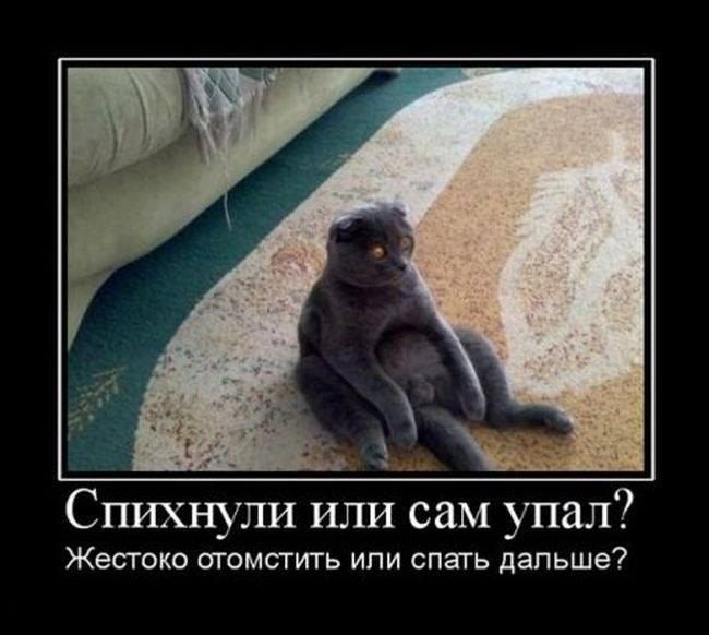 Спихнули или сам упал Жестоко отомстить ипи спать дапьше