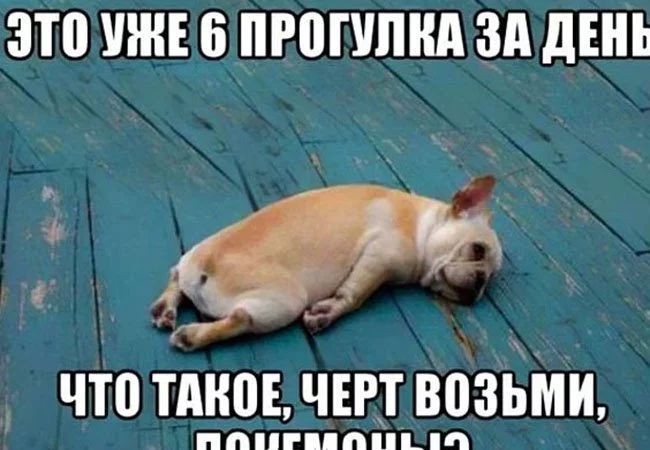 ЗП УЖЕ В ПРППШНА ЗА дЕНЪ что типа чт возьми ППРЦППЦЬП