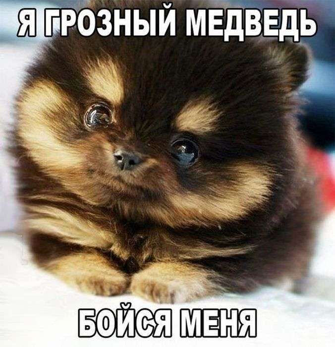 Ровный МЁЁЁЕЁ у БФИСЁЯ МЕНЯ
