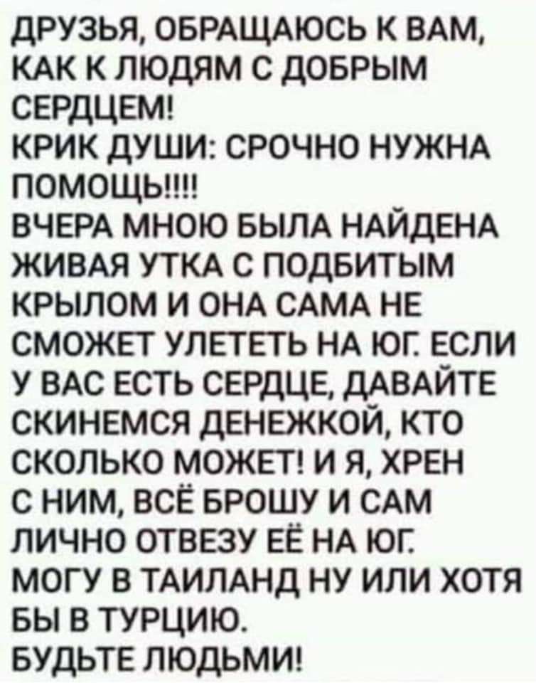 ДРУЗЬЯ ОБРАЩАЮСЬ К ВАМ КАК К ЛЮДЯМ С ДОБРЫМ СЕРДЦЕМ КРИК ДУШИ СРОЧНО НУЖНА ПОМОЩЬ ВЧЕРА МНОЮ БЫЛА НАЙДЕНА ЖИВАЯ УТКА С ПОДБИТЫМ КРЫЛОМ И ОНА САМА НЕ СМОЖЕТ УЛЕТЕТЬ НА ЮГ ЕСЛИ У ВАС ЕСТЬ СЕРДЦЕ ДАВАЙТЕ СКИНЕМСЯ ДЕНЕЖКОЙ КТО СКОЛЬКО МОЖЕТ И Я ХРЕН С НИМ ВСЁ БРОШУ И САМ ЛИЧНО ОТВЕЗУ ЕЁ НА ЮГ МОГУ В ТАИЛАНД НУ ИЛИ ХОТЯ БЫ В ТУРЦИЮ БУДЬТЕ ЛЮДЬМИ