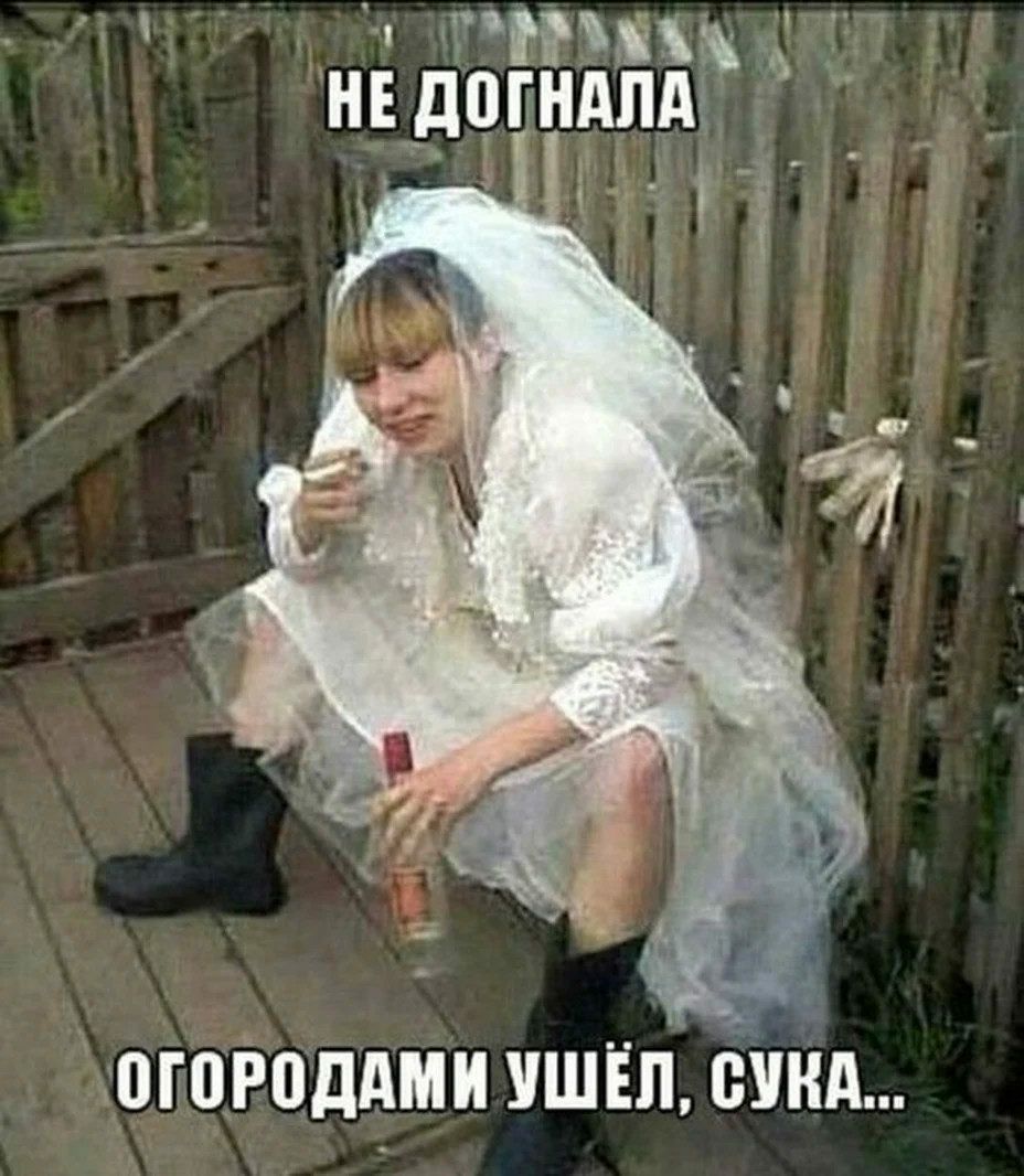 ттт НЕ догндпд огороддми ушііі спид