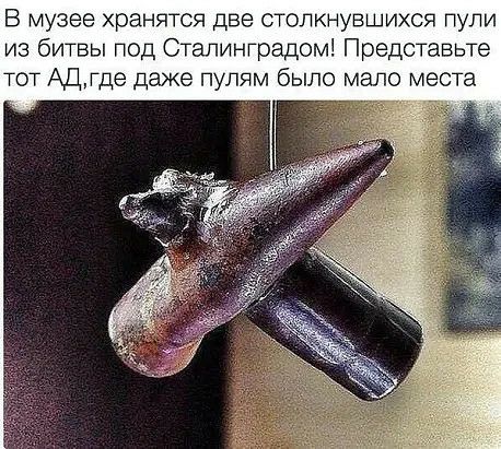 В музее хранятся две столкнувшихся лули из битвы под Сталинградом Представьте тот Адтде даже пулям было мало места