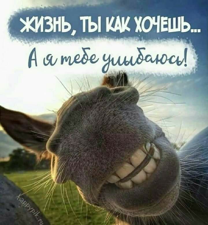 ты хочешь