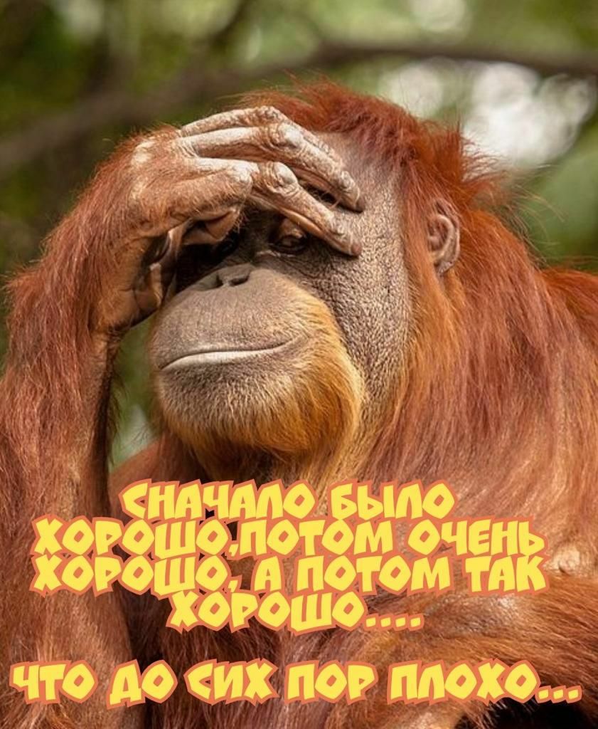 ЧТО АО их ПОР ИМХО