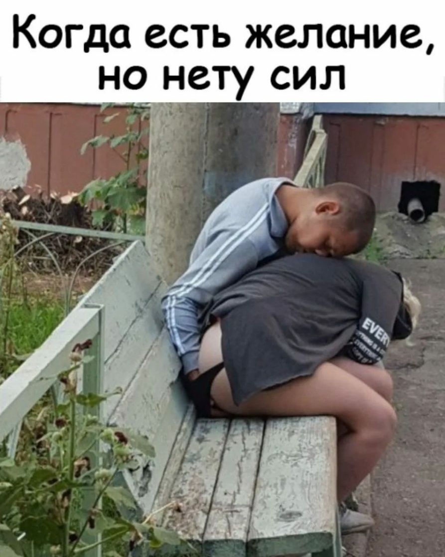 КОГДО ССТЬ ЖСЛОНИС НО НСТУ СИЛ 511