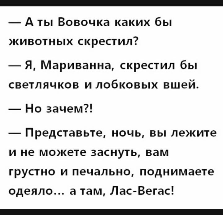 А ты Вовочка каких бы кивотных скрестил Я Мариванна скрестил бы светлячков илобковых вшей Но зачем Представьте ночь вы лежите и не можете заснуть вам грустно и печально поднимаете одеяло а там Лас Вегас