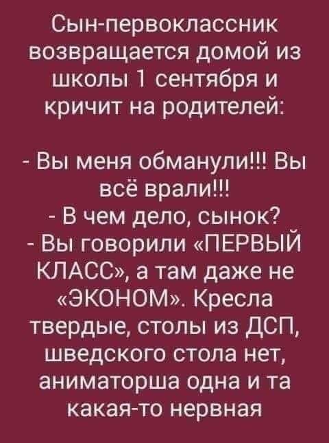 Сын первоклассник возвращается домой из школы сентября и кричит на родителей Вы меня обманули Вы всё врали В чем дело сынок Вы говорили ПЕРВЫИ КЛАСС а там даже не ЭКОНОМ Кресла твердые столы из ДСП шведского стола нет аниматорша одна и та какая то нервная
