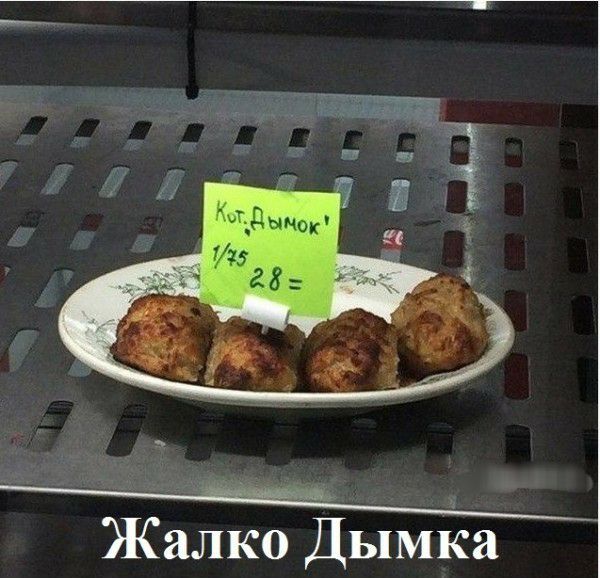 Жалко Дымка