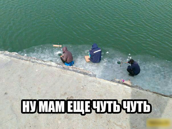 ни мдм ЩЕ чить чп
