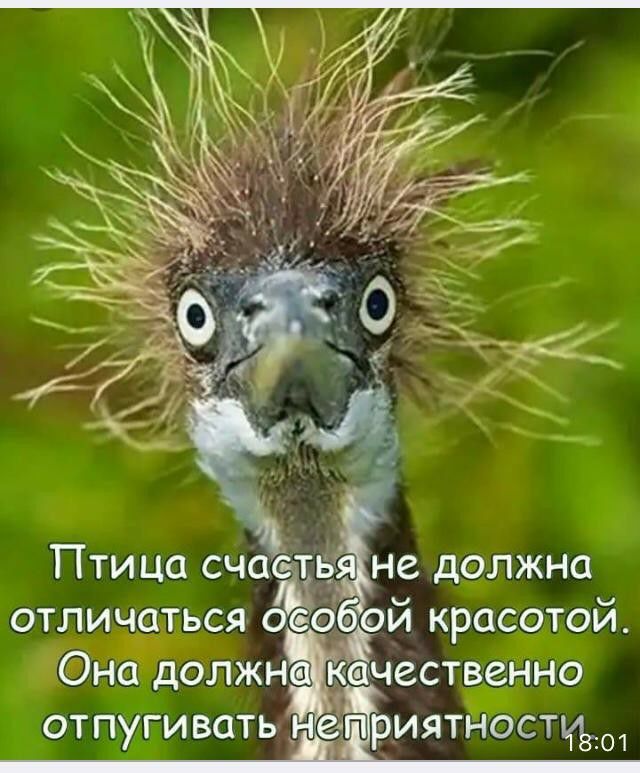 отлиться Гіна должн _ от пхги вать Чёт иятностиёж1