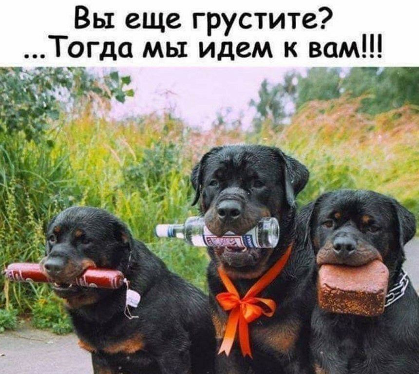 М О т М С И С Ы М О