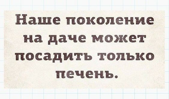 Наше поколение на даче может посадить только печень