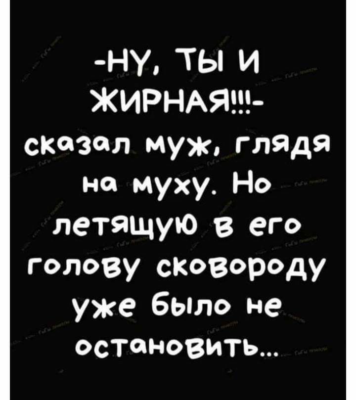 ну ТЫ И ЖИРНАЯ сказал муж глядя на муху Но летящую в его голову сКовороду уже бЫло не остановить