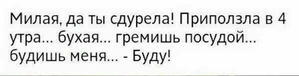 Милая да ты сдурела Приползла в 4 утра бухая гремишь посудой будишь меня Буду