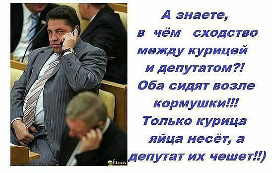 А знаете в чём сходство между курицей и депутатом оба сидят возле кормушки Только курица яйца несёт а депутат их чеше г