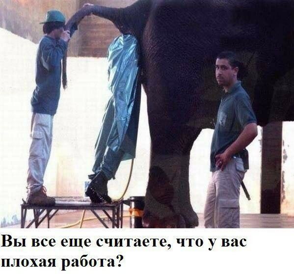 Вы все еще считает что у вас плохая работа