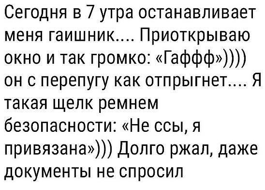 Сегодня в 7 утра останавливает меня гаишник Приоткрываю окно и так громко Гаффф он с перепугу как отпрыгнет Я такая щелк ремнем безопасности Не ссы я привязана Долго ржал даже документы не спросил